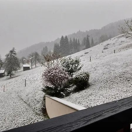4 Personnes - Proche Pied Des Pistes - St Jean D'aulps - Proche Morzine - Cimes 18 Appartement